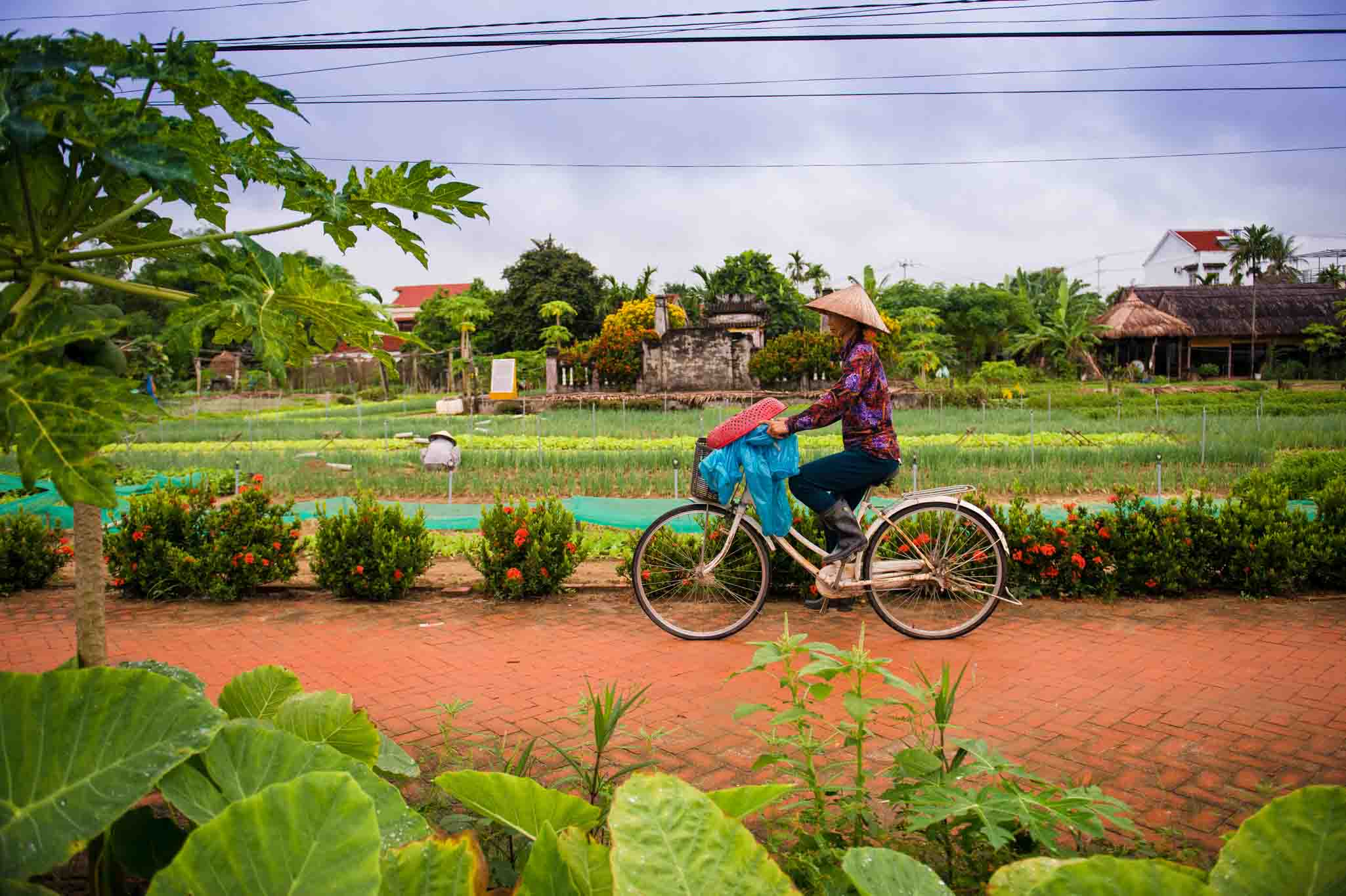 Cycling to Tra Que Vegetable and Join Cooking Class